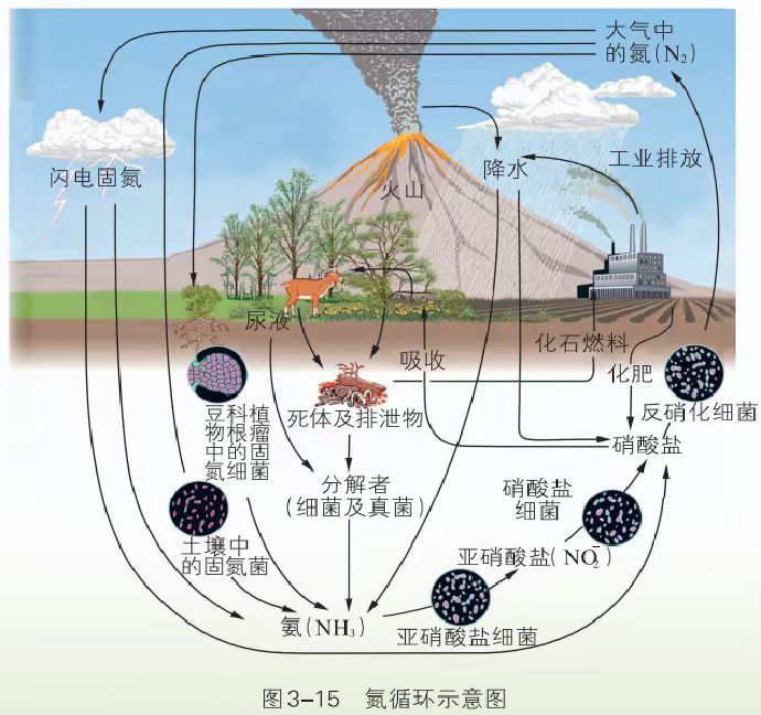 微信图片_20230612232429.jpg